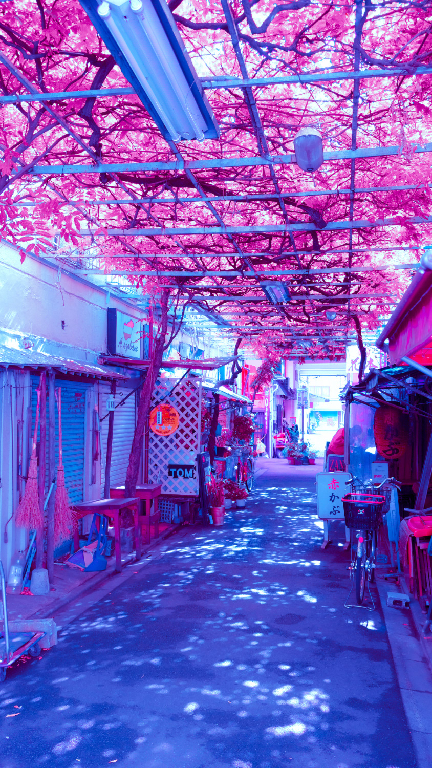 Osore Ichi-Kagetsu, Lightroom CC Presets inspired by Cyberpunk