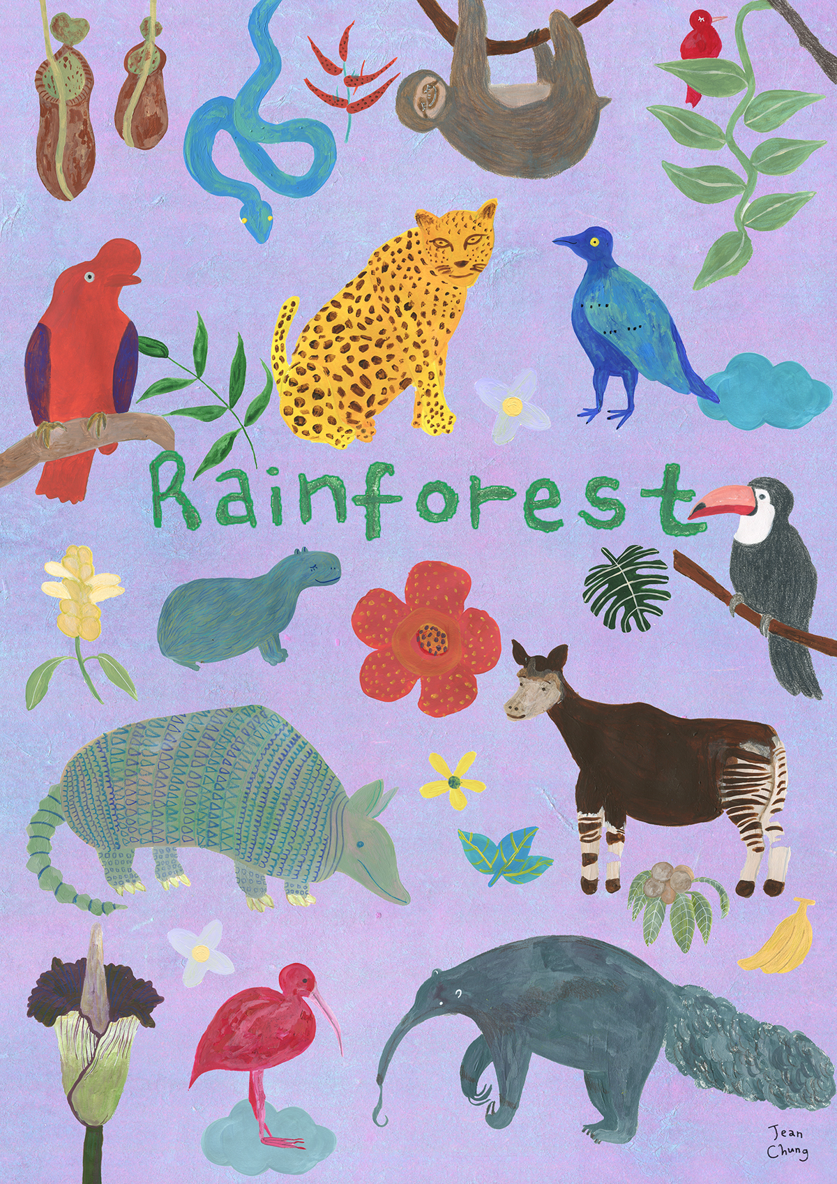 ILLUSTRATION  painting   Saverainforest poster animal art acrylic sloth rainforest