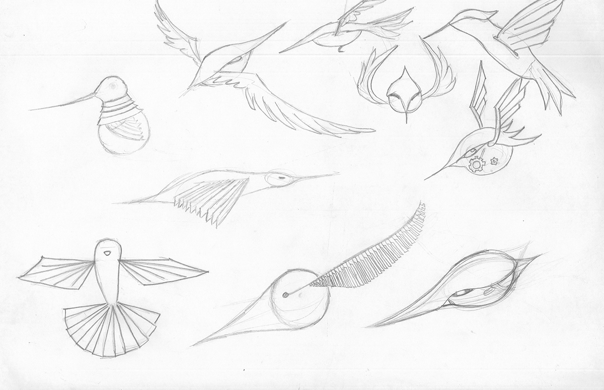 colibri robot  dibujos
