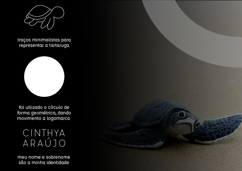 blackandwhite desenho identidade visual Logomarca Logotipo minimalist Minimalista personal branding tartaruga Turtle