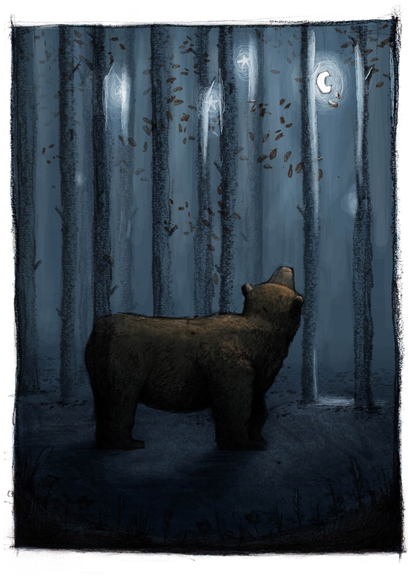 bear moon night woods pencil digital leaves grizzly