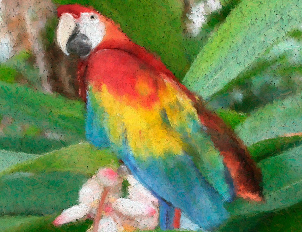 custom pet portraits pet paintings animal paintings jupiter florida artist stuart florida artist