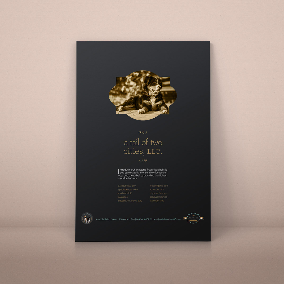 Adobe Portfolio print dog care flyer business card branding  design gold foil luxury