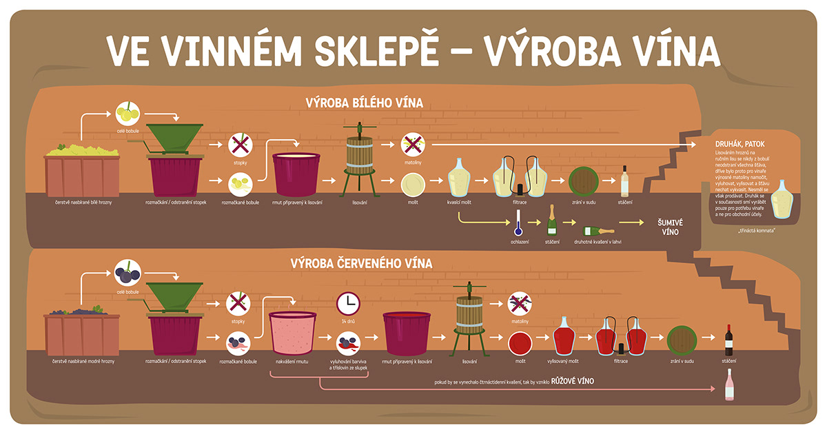 wine infographic