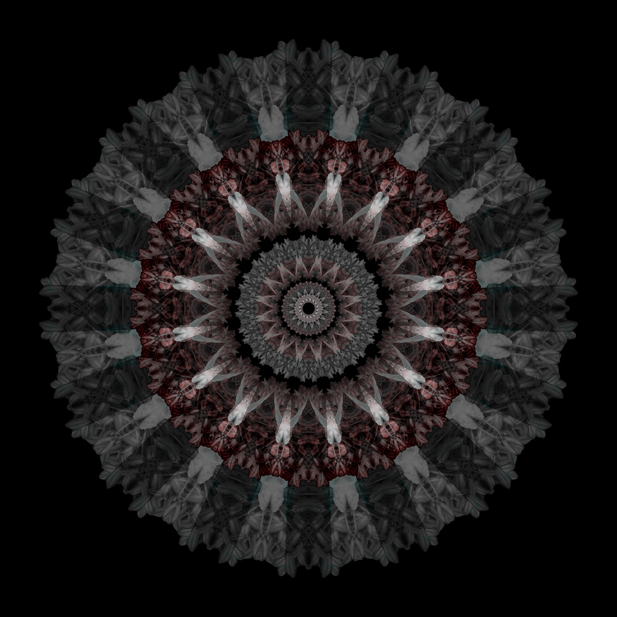 abstract circles Mandala star