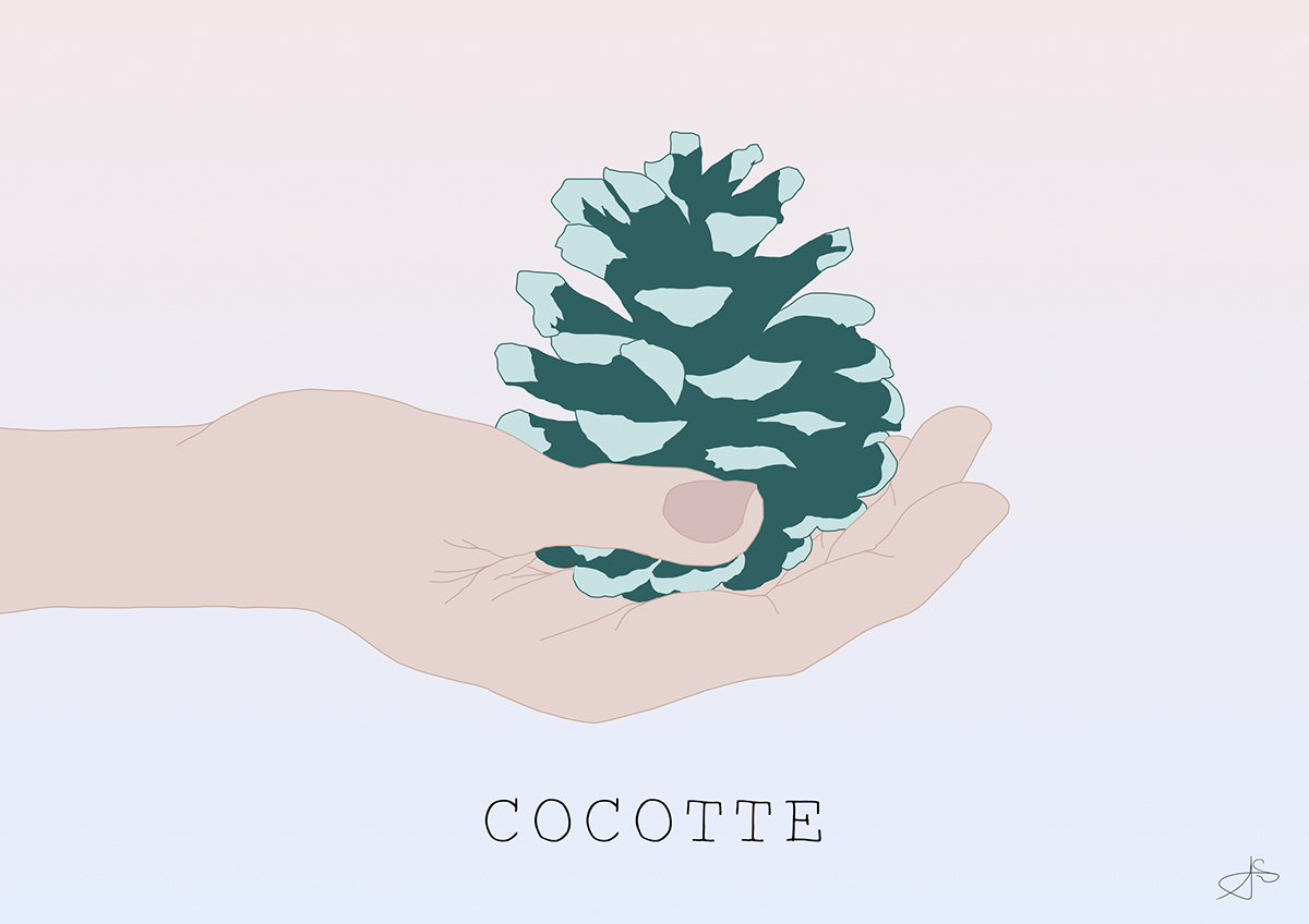 digital painting photoshop hand pine cone cocotte de pin minimalist