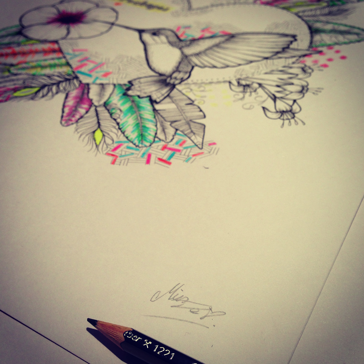 illustrate pencil ink colour beauty animals birds hummingbird seahorse wildlife Urban for sale Newcastle neua Exhibition 