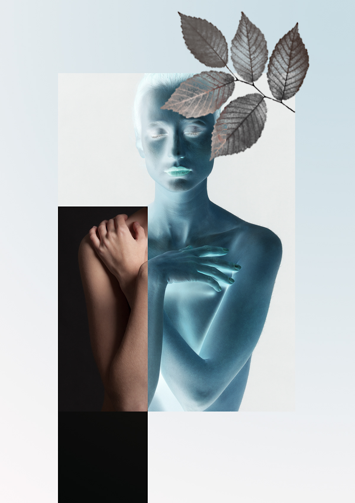 beauty manipulation arts feminine inversed leaves blue light