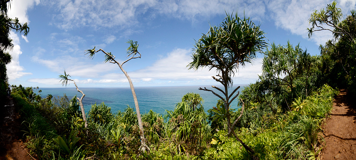 jordyn raia Landscape HAWAII Kauai Na Pali Coast green Ocean life plants Nature