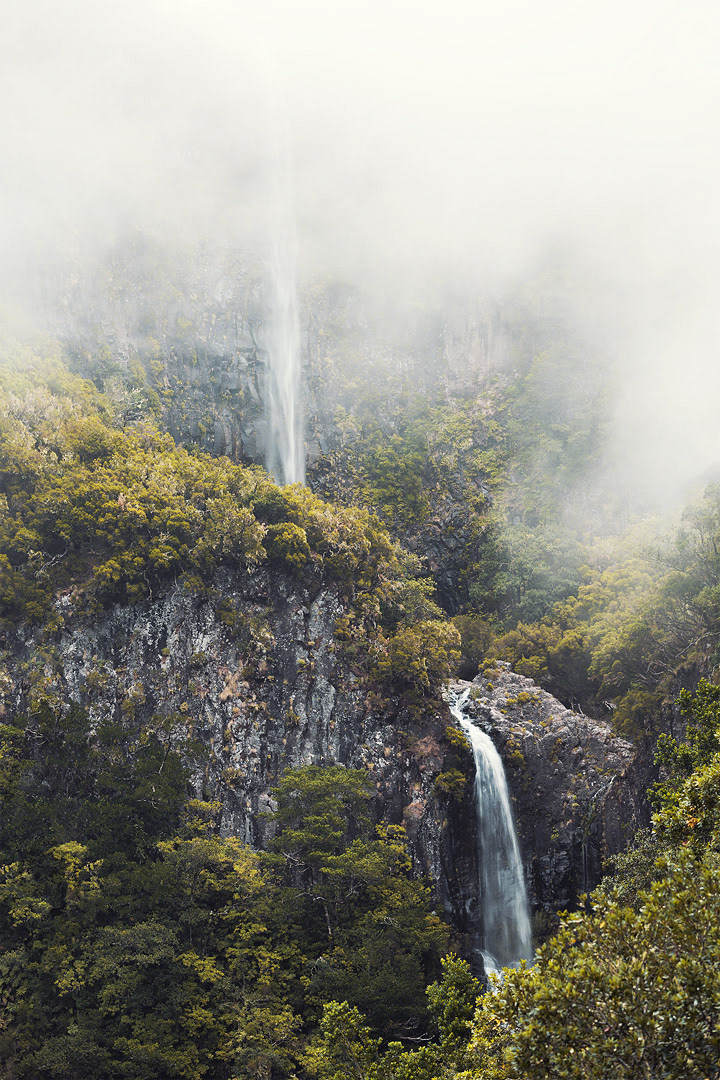 Travel Nature Landscape Madeira