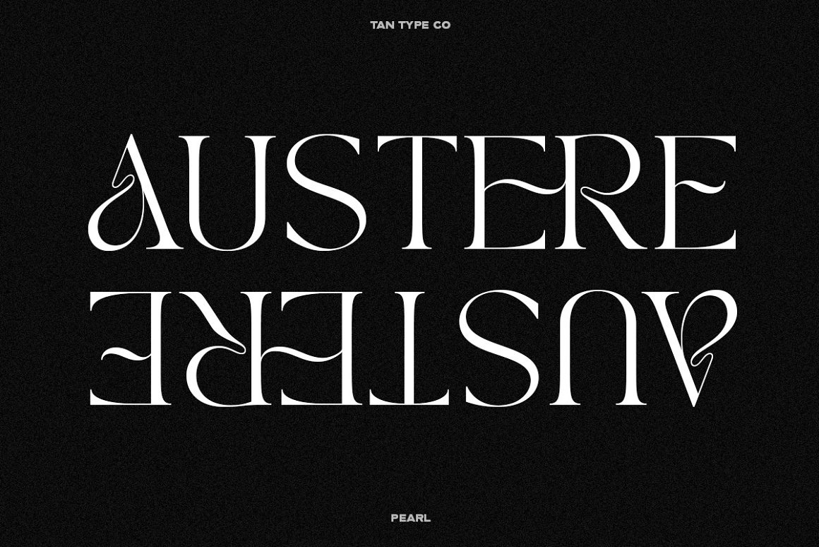 branding font classic font classic typeface classy font elegant font elegant serif Fashion font Fashionable Font Serif Font serif typeface 
