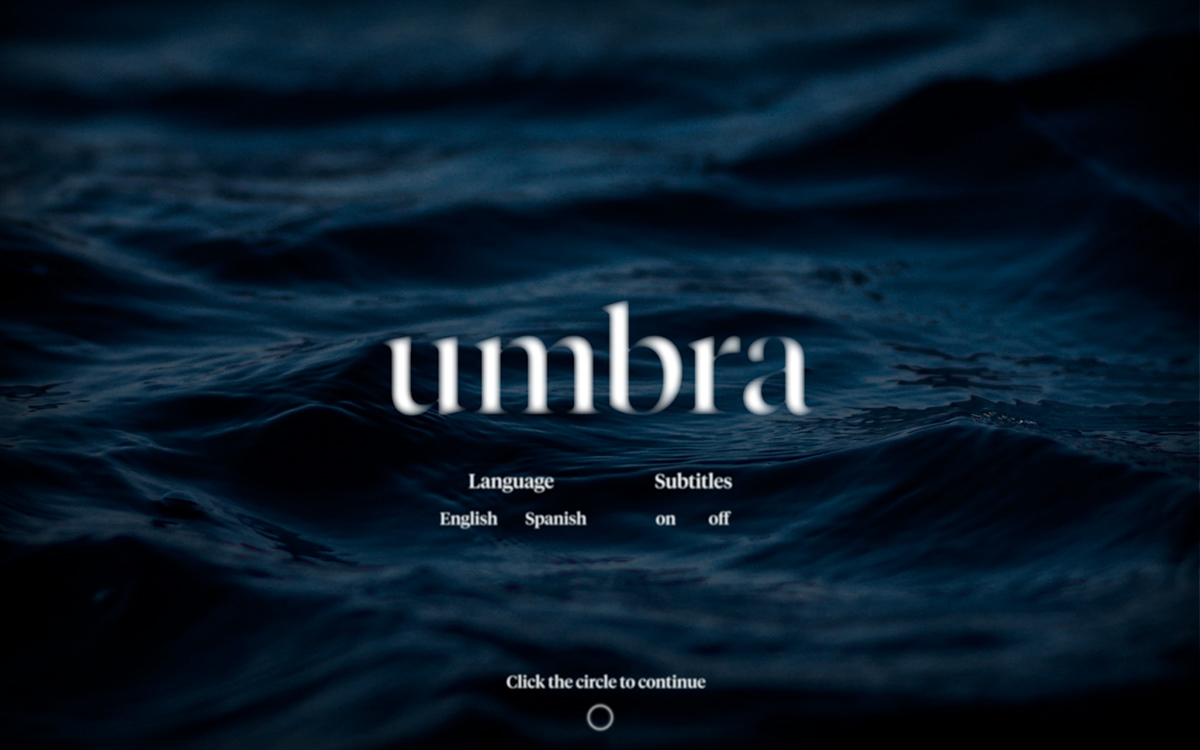 black design feelings immersive interactive UI/UX Unique Web web desing laus
