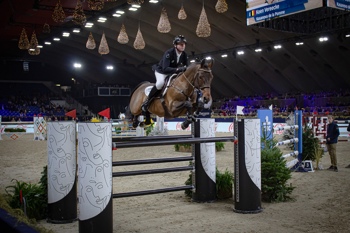 equestrian equine horse Horse Photography Mechelen Photography  rider Show jumping sport world cup