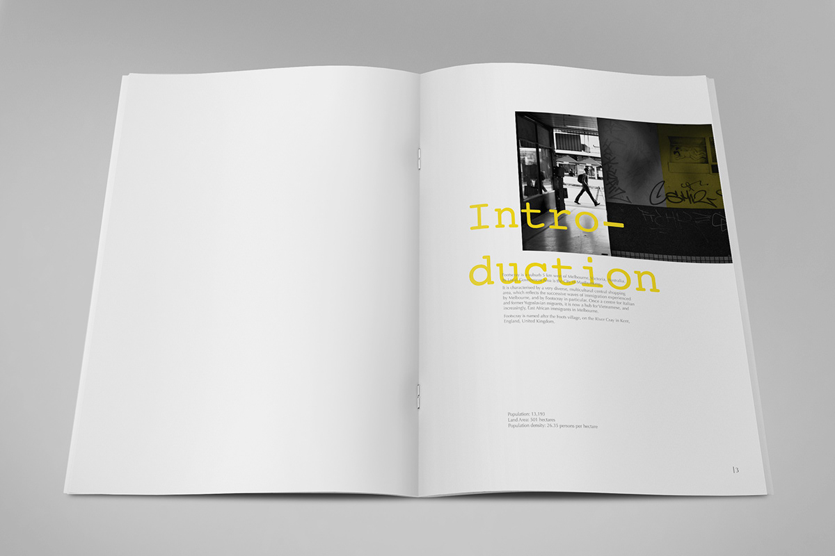 graphic design   publishing report