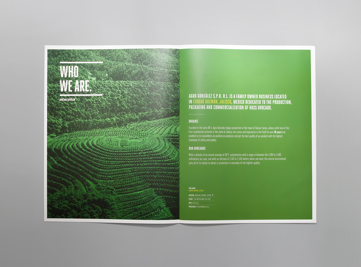 brochure mexico print editorial avocado spot uv mno
