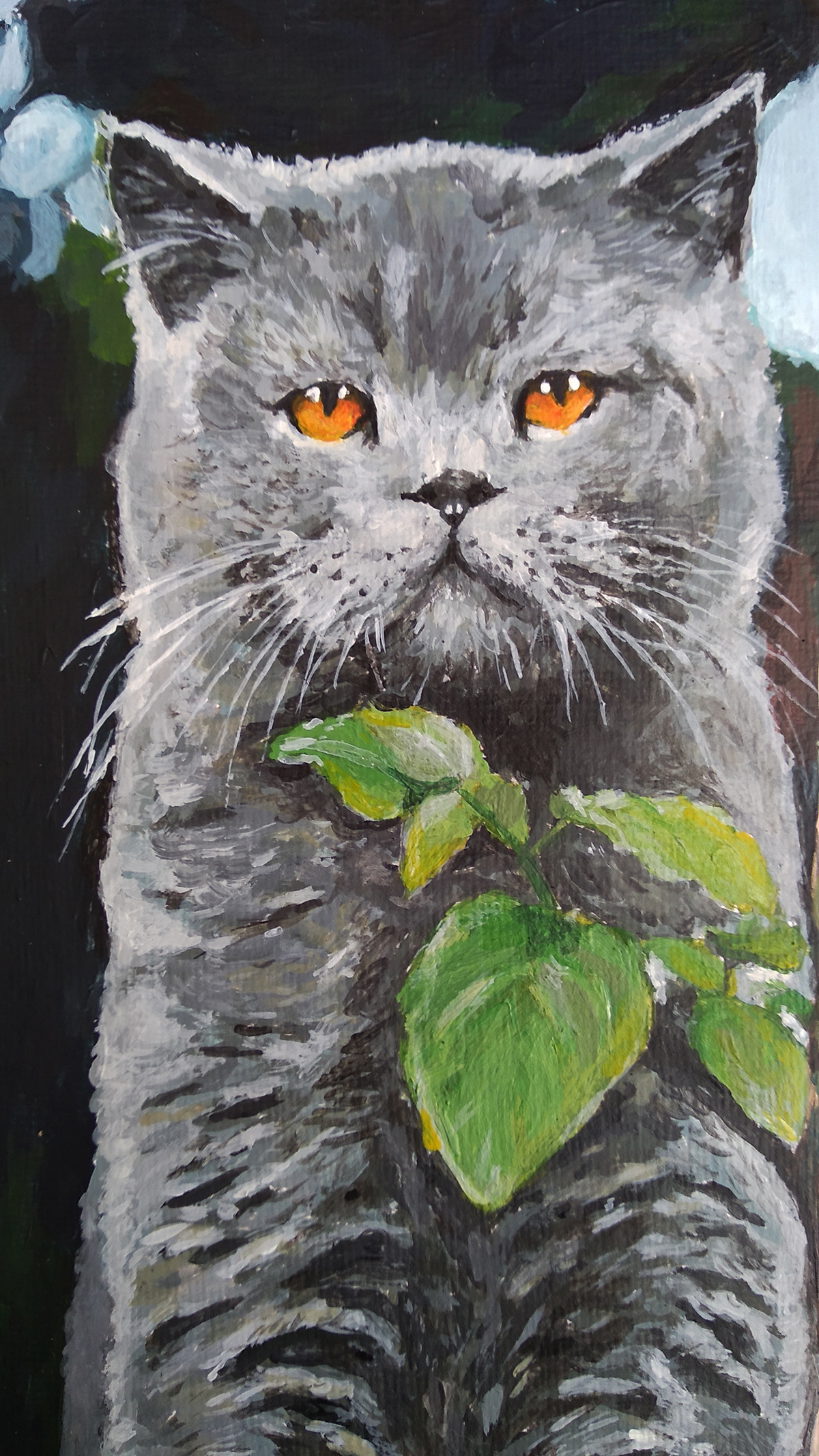 Cat portrait acrylic painting   british shorthair the100dayproject Time Lapse