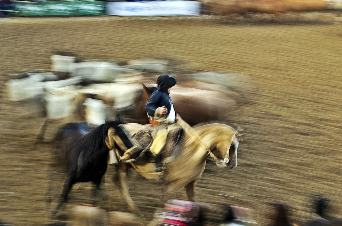 rural campo argentina  Buenos Aires caballos  Horses