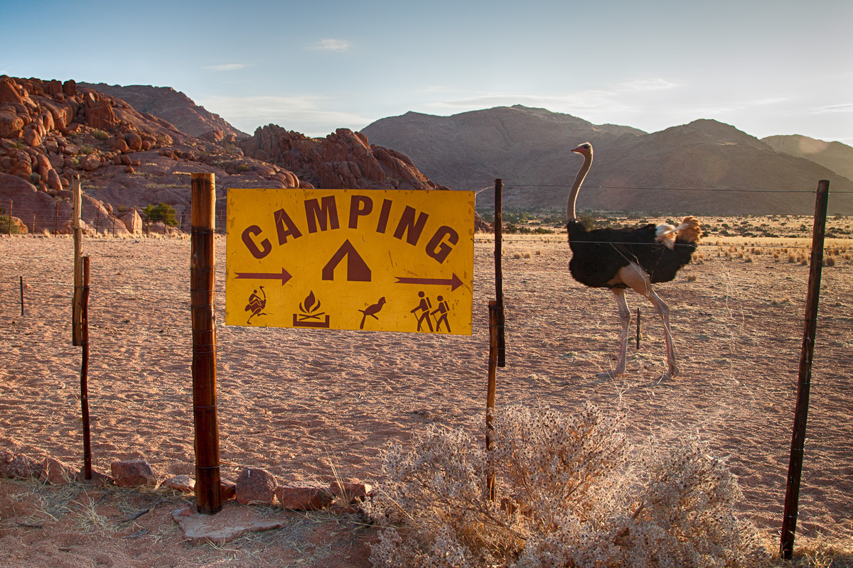 Namibia desert wildlife camping roof tent 4x4 adventure namib