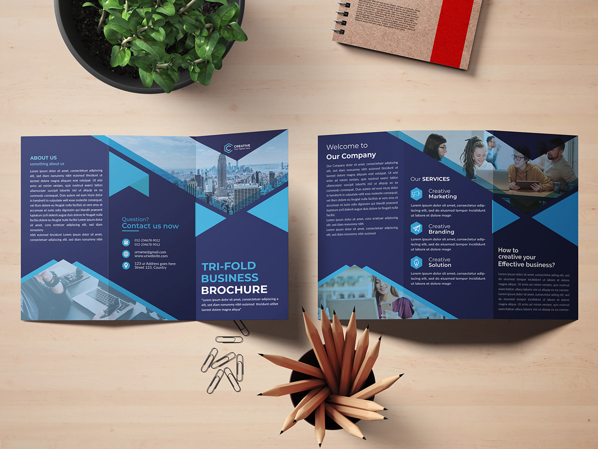 OLX Trifold Brochure on Behance