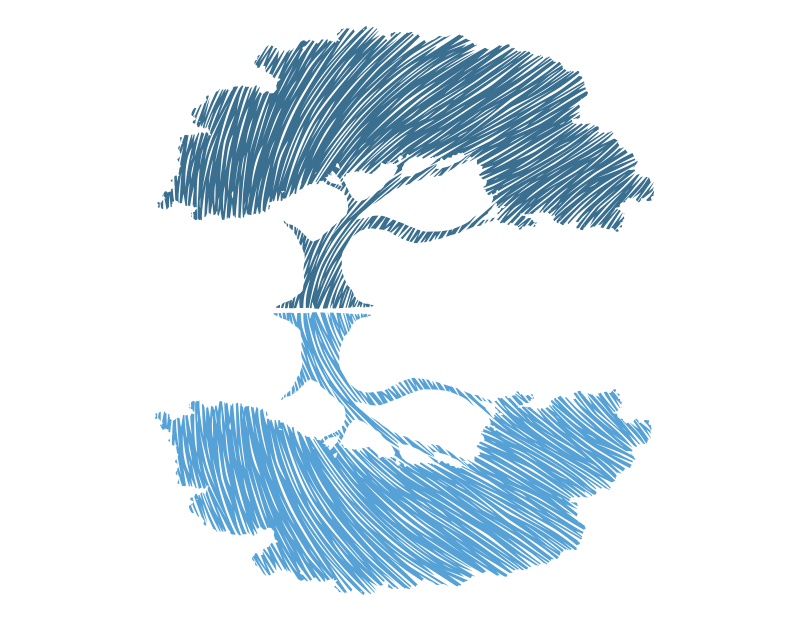 Adobe Portfolio Echo Lake Echo Lake Entertainment ID identity logo brand productions Entertainment Tree  reflection water blue