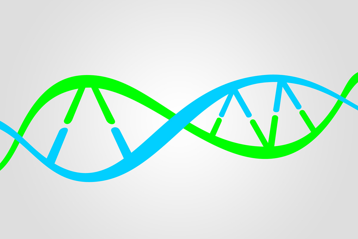 medical medicine Students exams student tutoring Website admitere medicina rebranding DNA helix