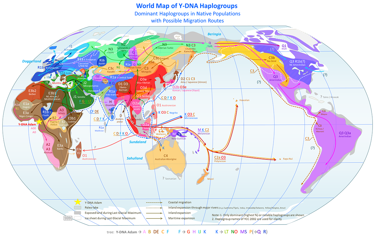 infographics genetics map human origins