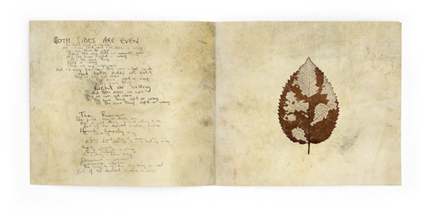 the boxer rebellion album cover CD cover album artwork London leaf texture