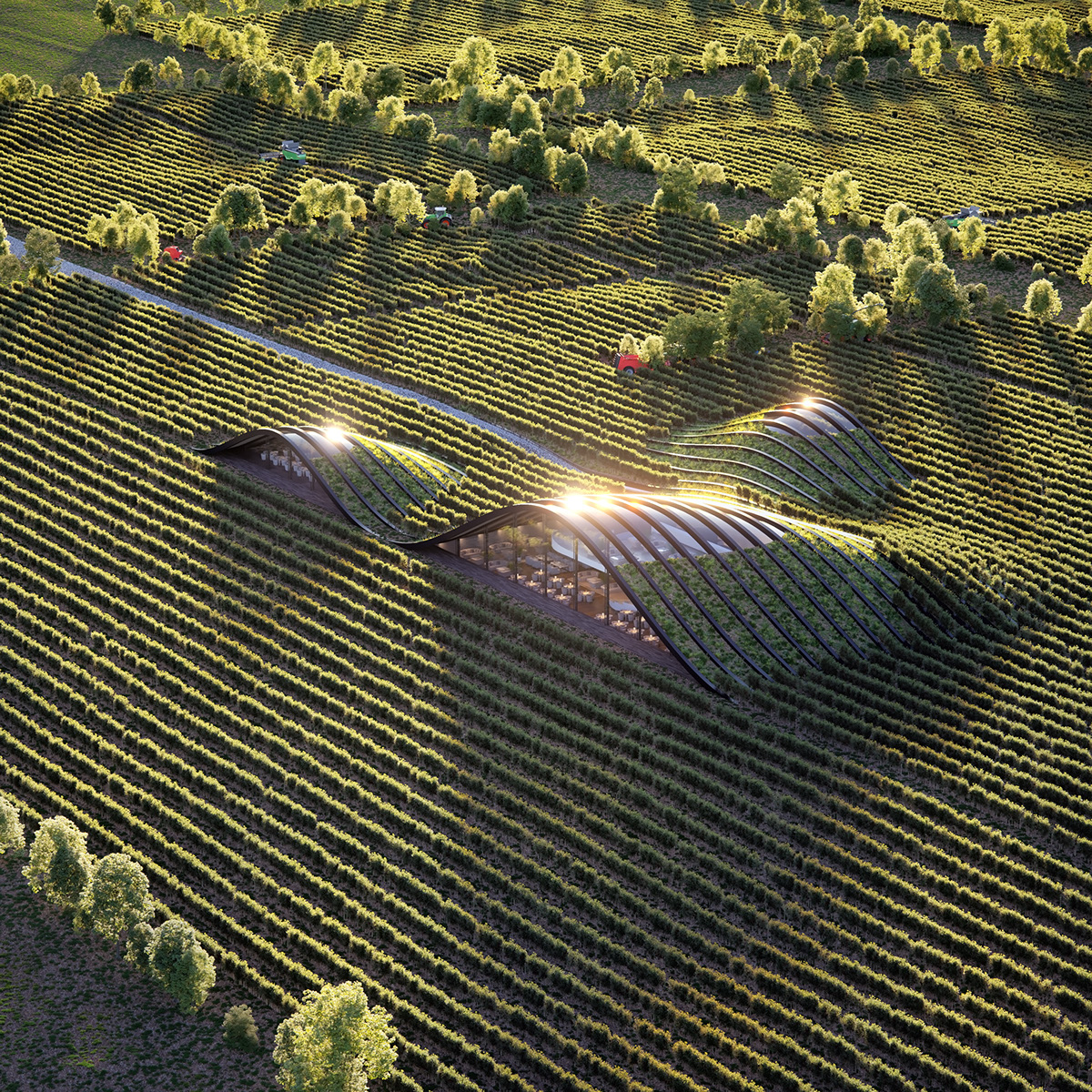 vineyard 3D exterior visualization mixocg Nature Aerial michael archviz corona 3ds max