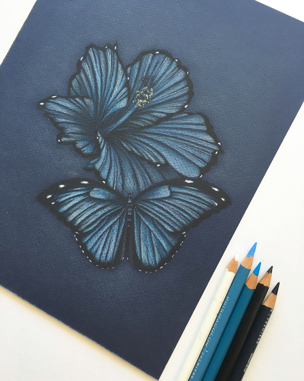 Draw a simple but creative butterfly - Brainly.in