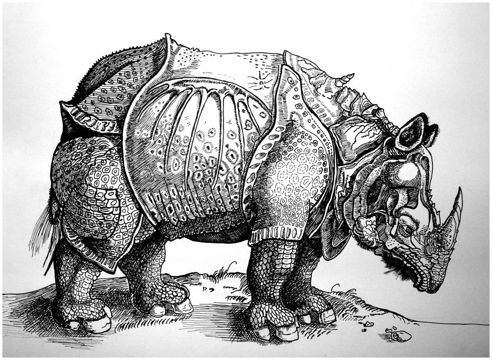 Dürer's Rhinoceros Albrecht Durer