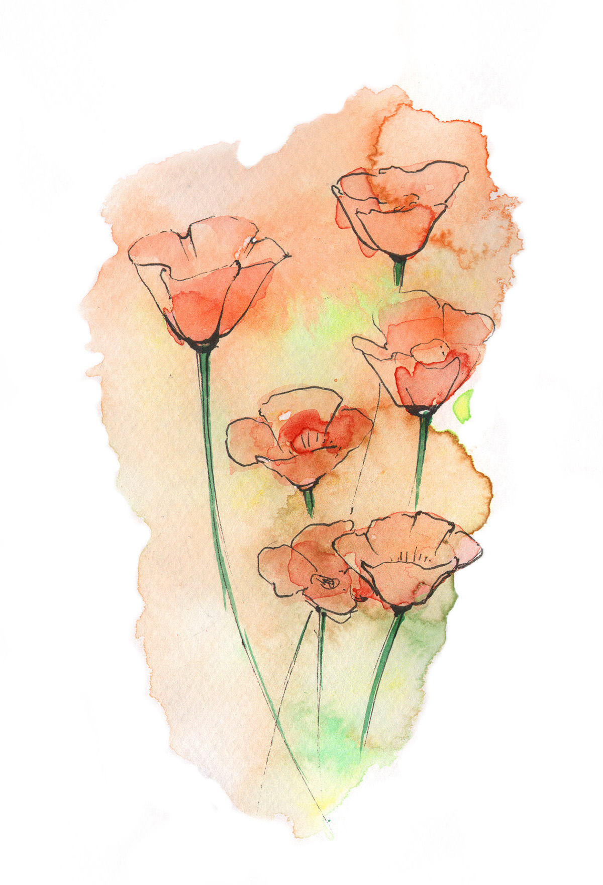 flower watercolor ink colors rose tulip blue orange anacapree AnaNikolova