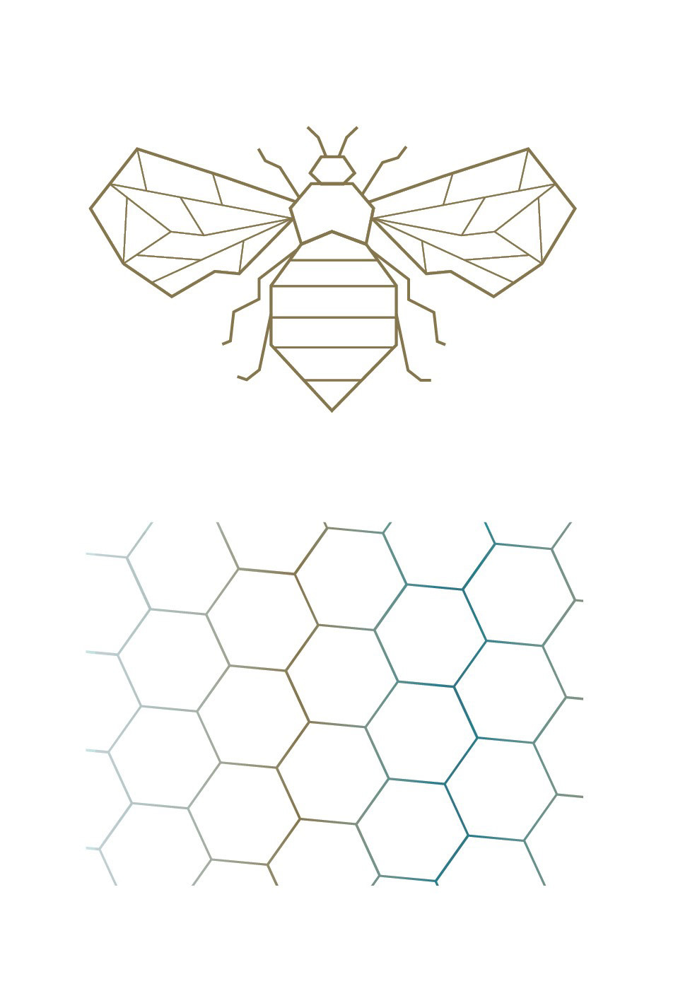 bee beer beer can graphic design  honeycomb ILLUSTRATION  Illustrator label design Packaging product design 