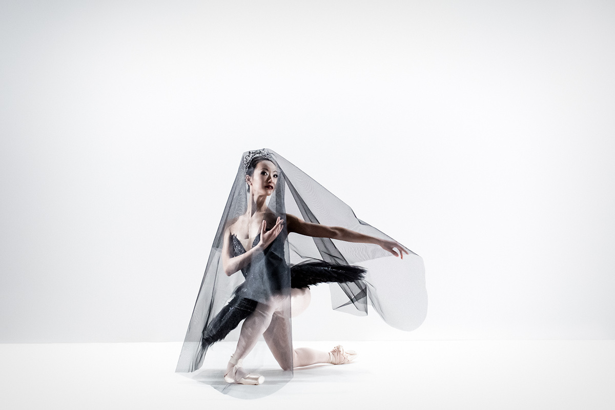 ballet Swan Lake ballerina DANCE   graceful modern dance classical dance dramatic