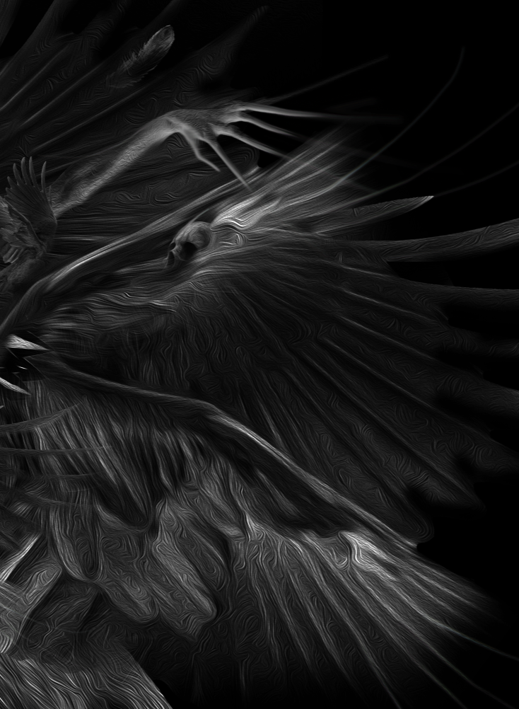 fantasmagorik nicolas obery queen of crows black dark White fantastic skull Mexican wings