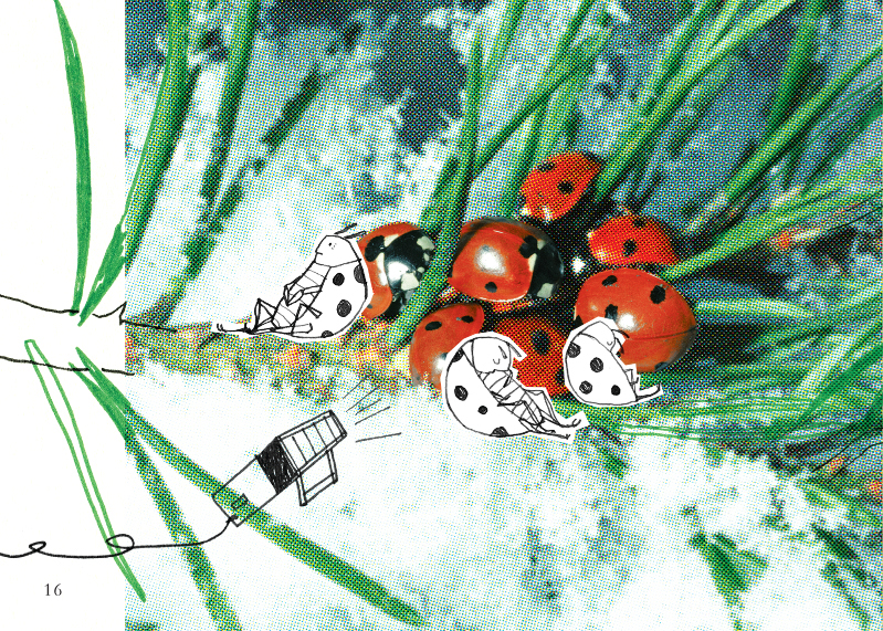 book children book ink photo collage Insects