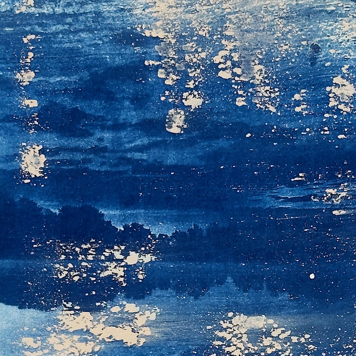 cyanotype landscape photography nature photography gregory euclide