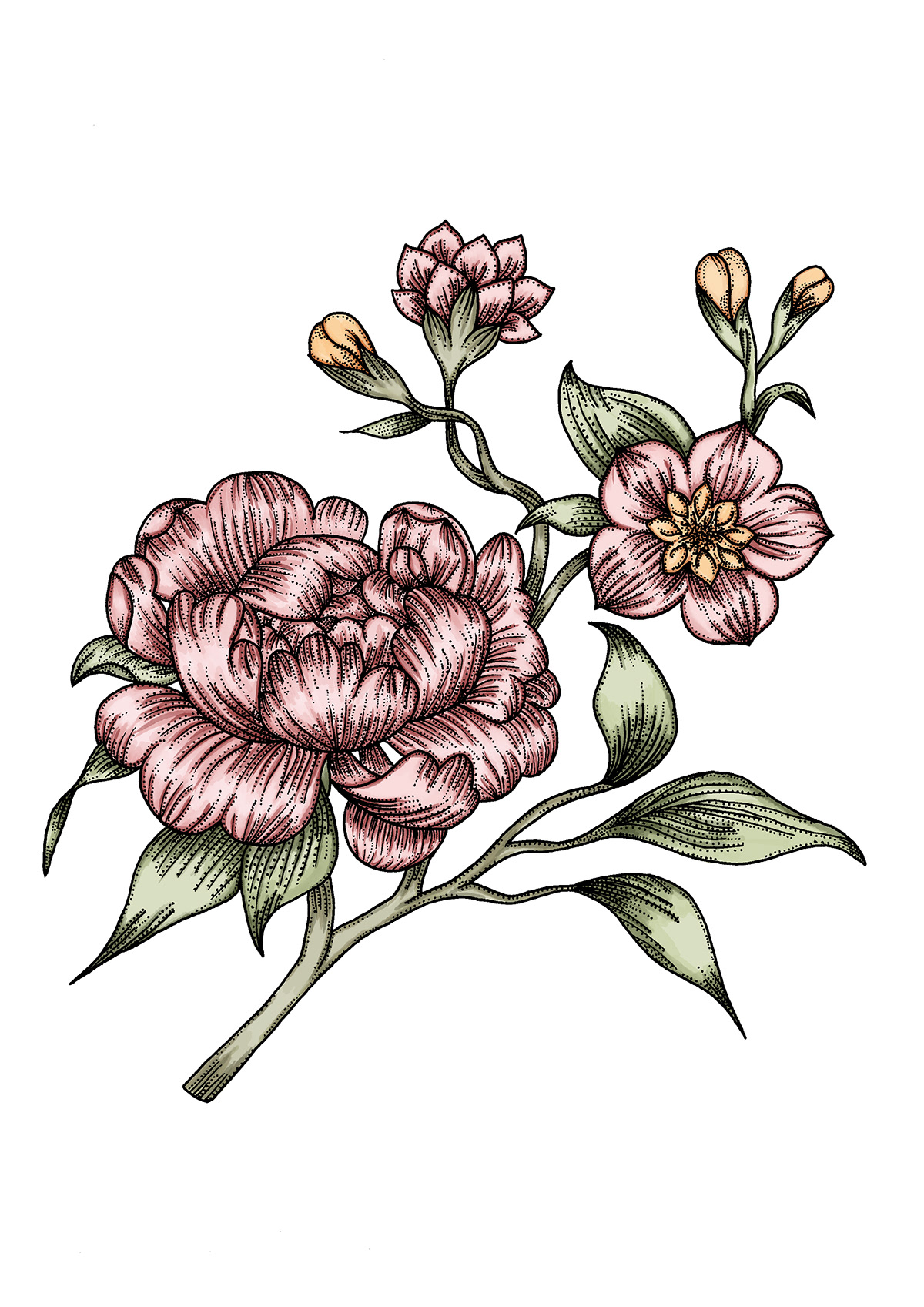 flower floral Digital Art  Drawing  digital illustration art sketch artist artwork desenho