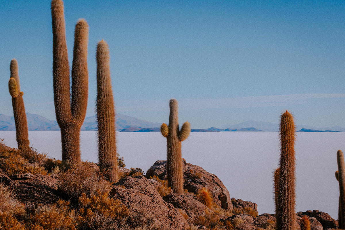 bolivia Uyuni salar uyuni desert travel photography Nature Landscape Photography Bolivia Salar RoadTrip