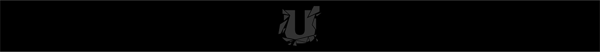 logo Logotype design