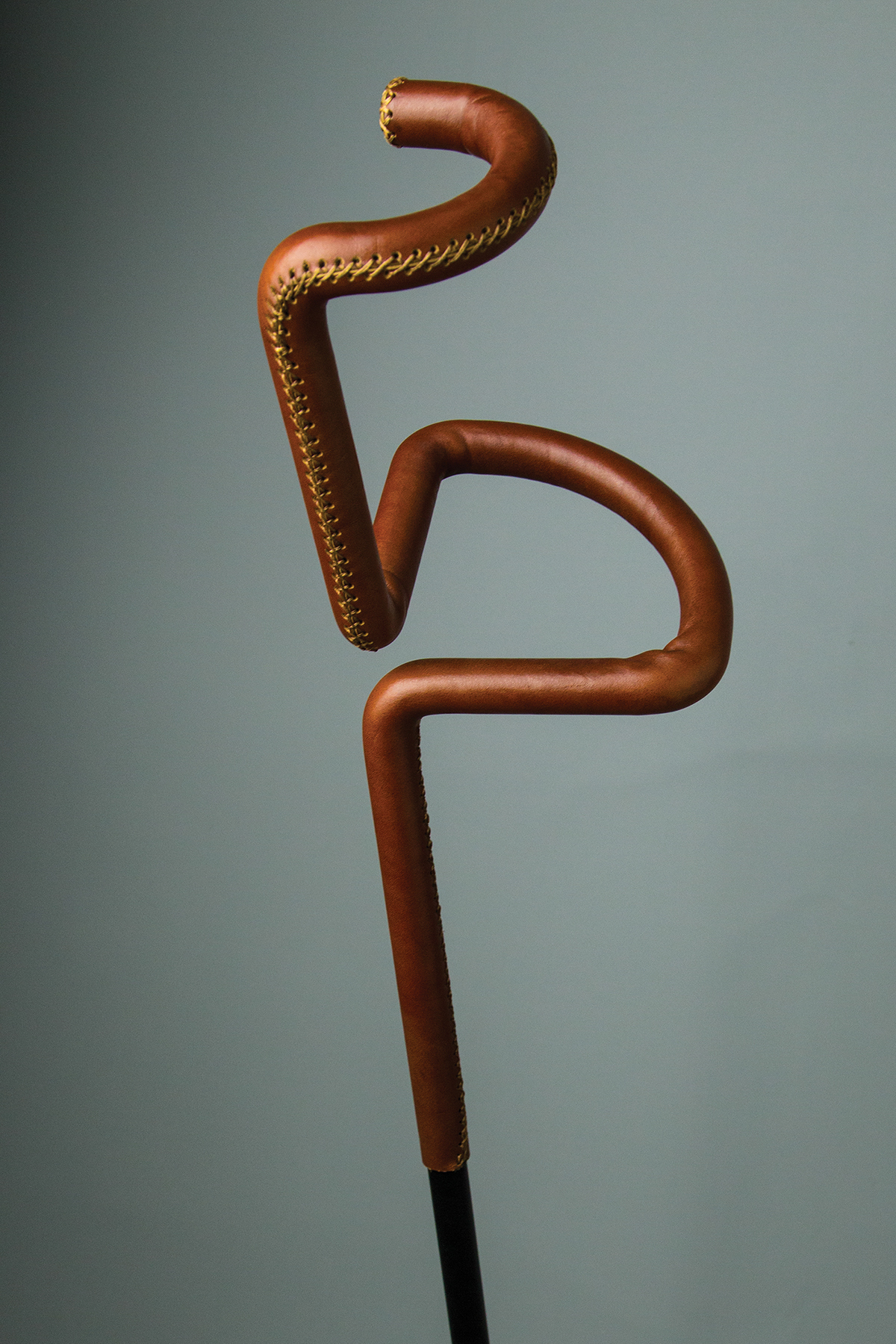 Adobe Portfolio crutch flamingo Cane disabled