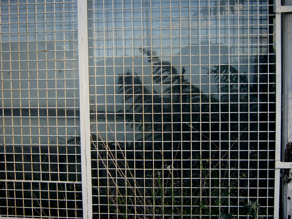 windows Window city society eyes