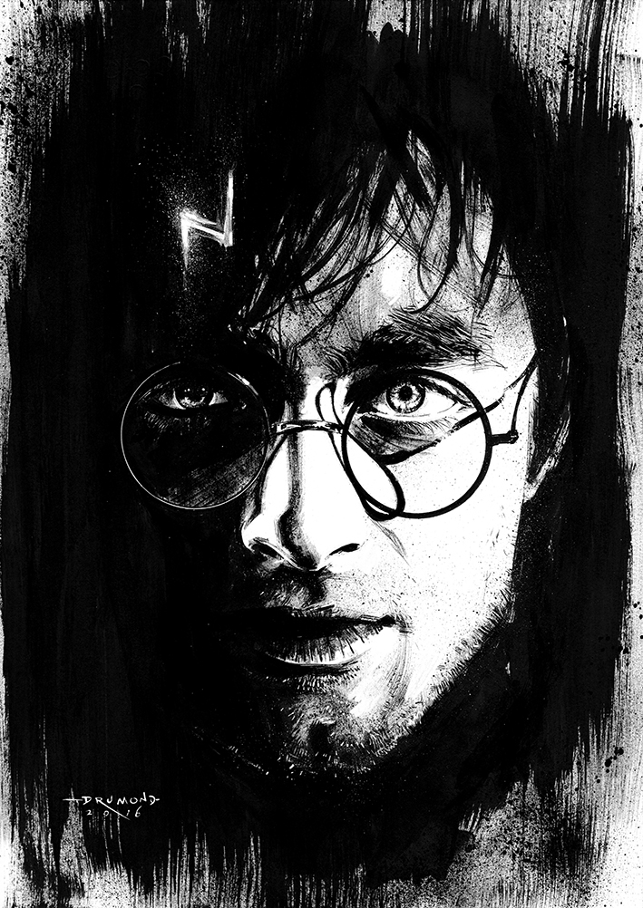 Illustration - Harry Potter on Behance