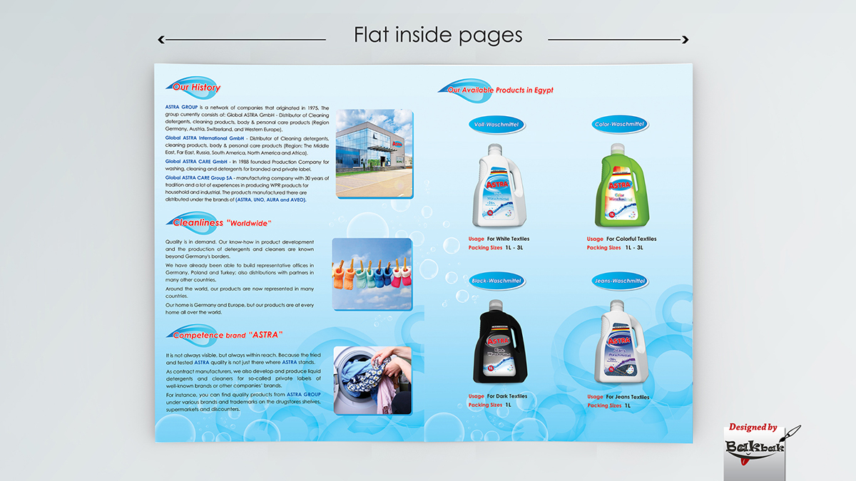 bakbak design flyer detergents art printed media