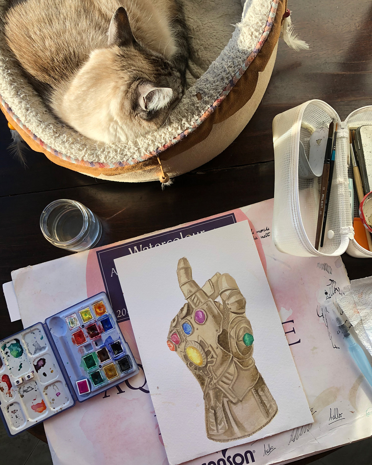 Avengers baby yoda Cat Drawing  ILLUSTRATION  Pet Portrait portrait tarot watercolor