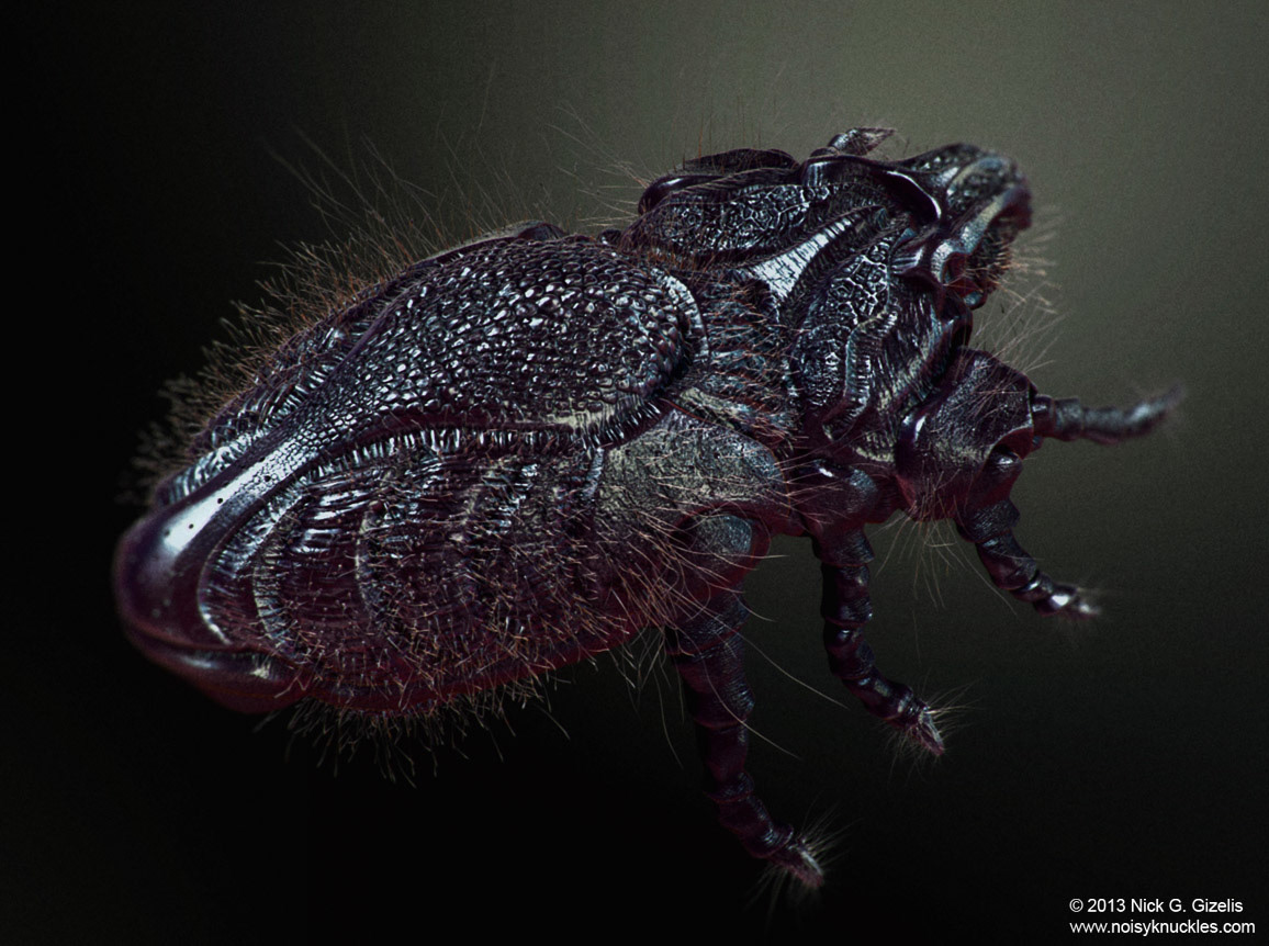 microscopic creature insect dustmite bug parasite concept
