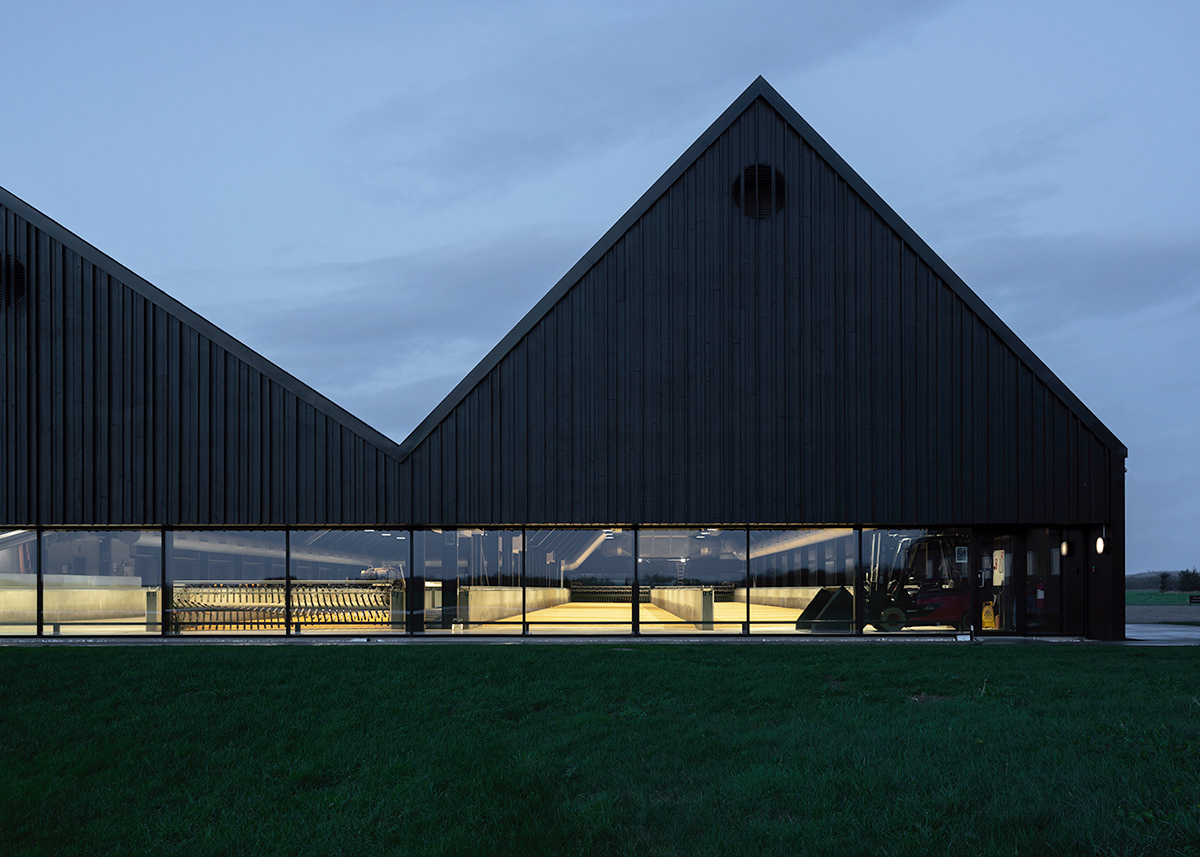 architecture Architecture Photography brewery denmark loop minimal nordic Skjern Stauning wood