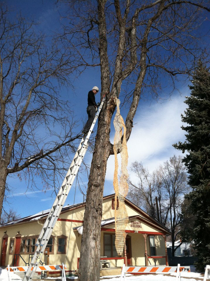 gerry Gerry Stecca stecca lafayette Colorado SCAD UCSD installation clothespins clothespegs Sustainable art artist wood Tree 