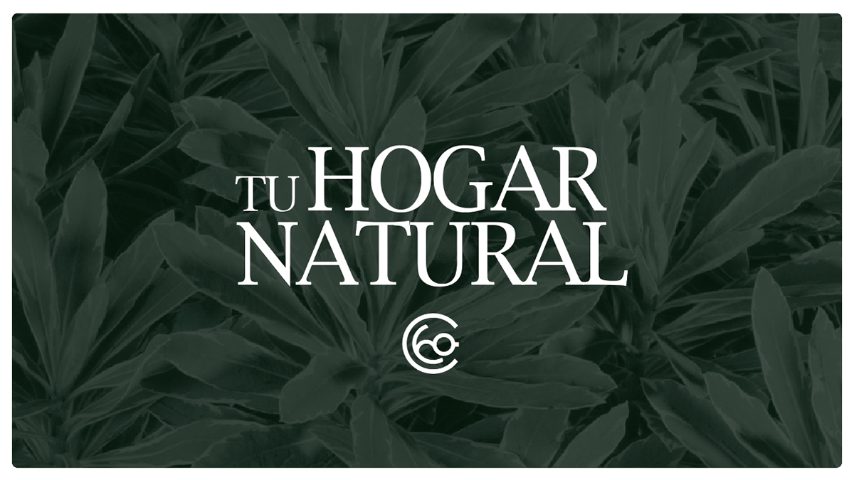 graphic design  branding  Nuevo Leon desarrollo campestre naturaleza Nature identity identidad monterrey