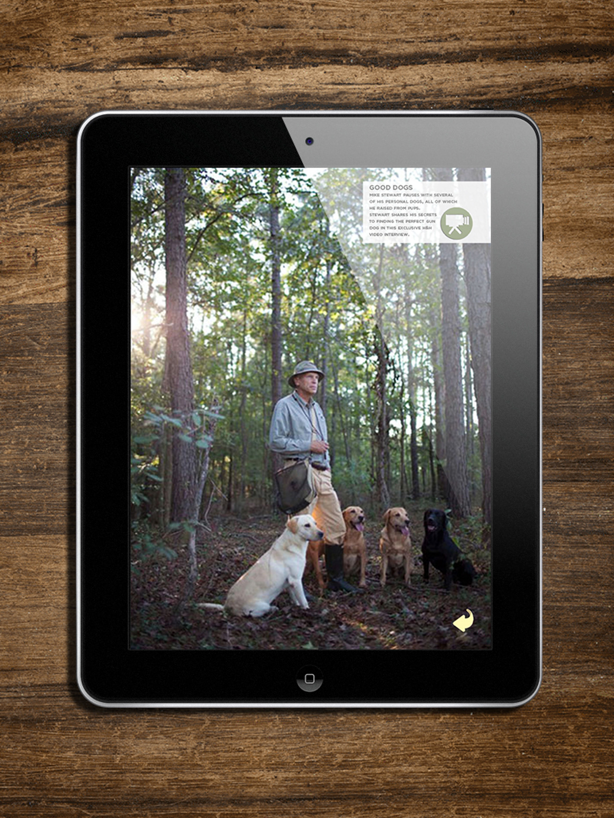 magazine iPad app editorial publication Interface Typographic Design