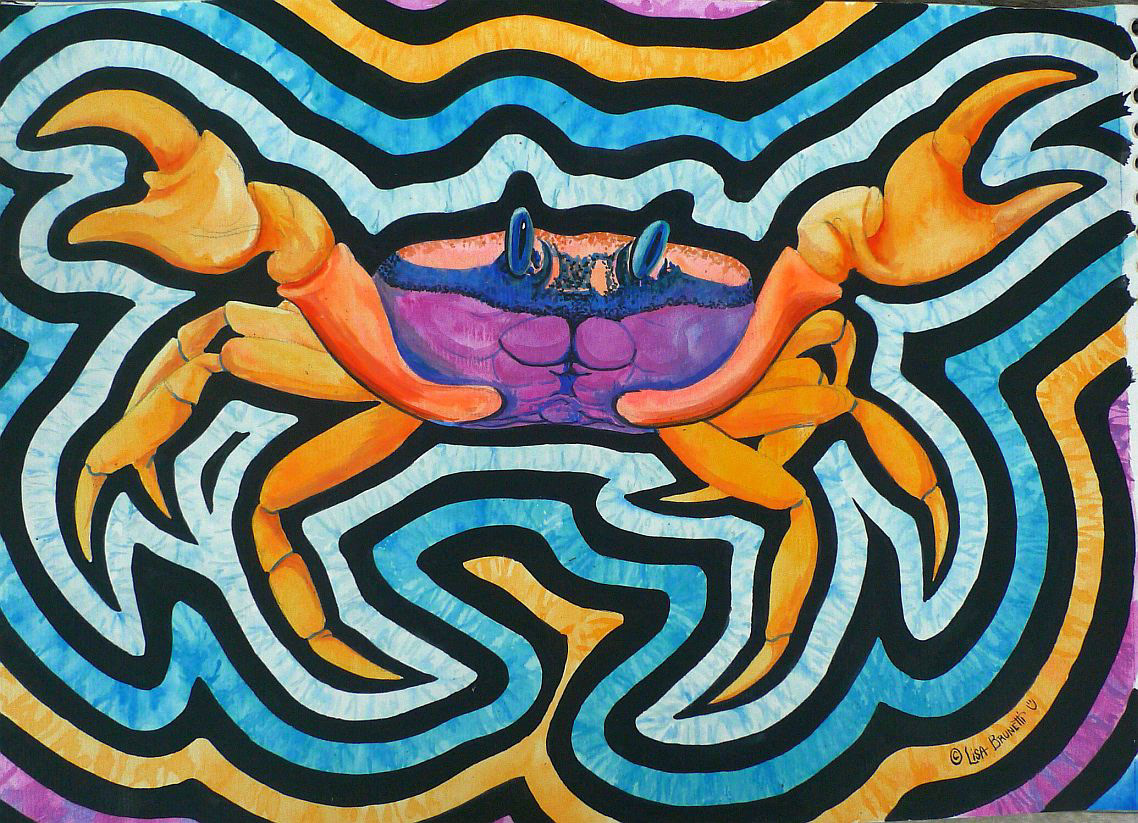 Precolumbian molas  mola designs  mola art mola textiles  lisa brunetti  zeebra designs playamart.wordpress watercolor acrylic